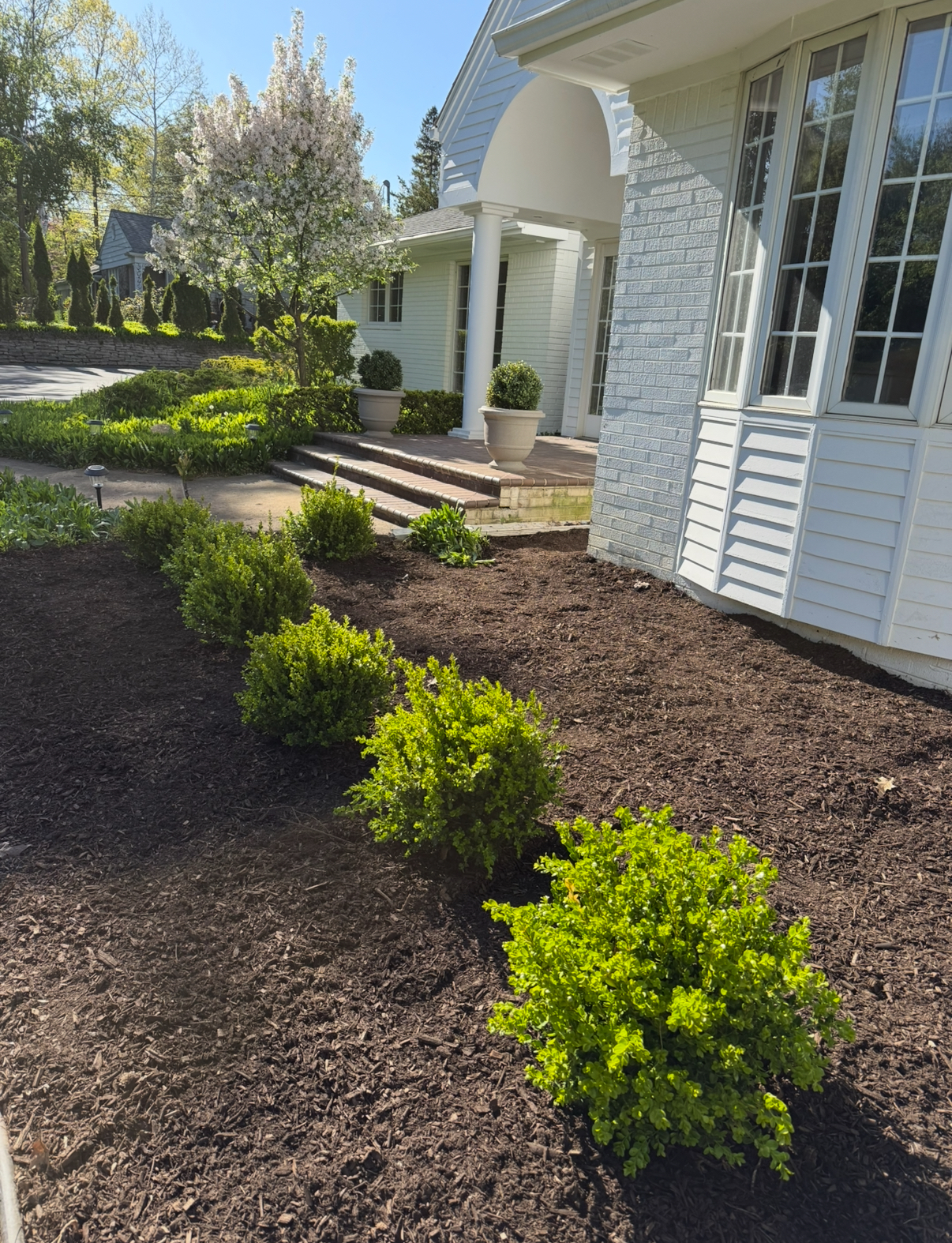 Front yard full bed transformation