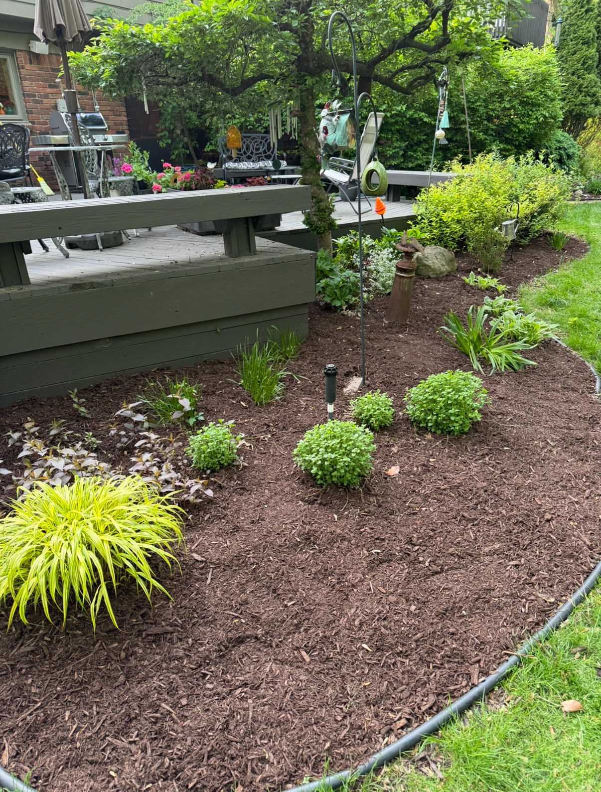 Backyard bed with mulch and plants