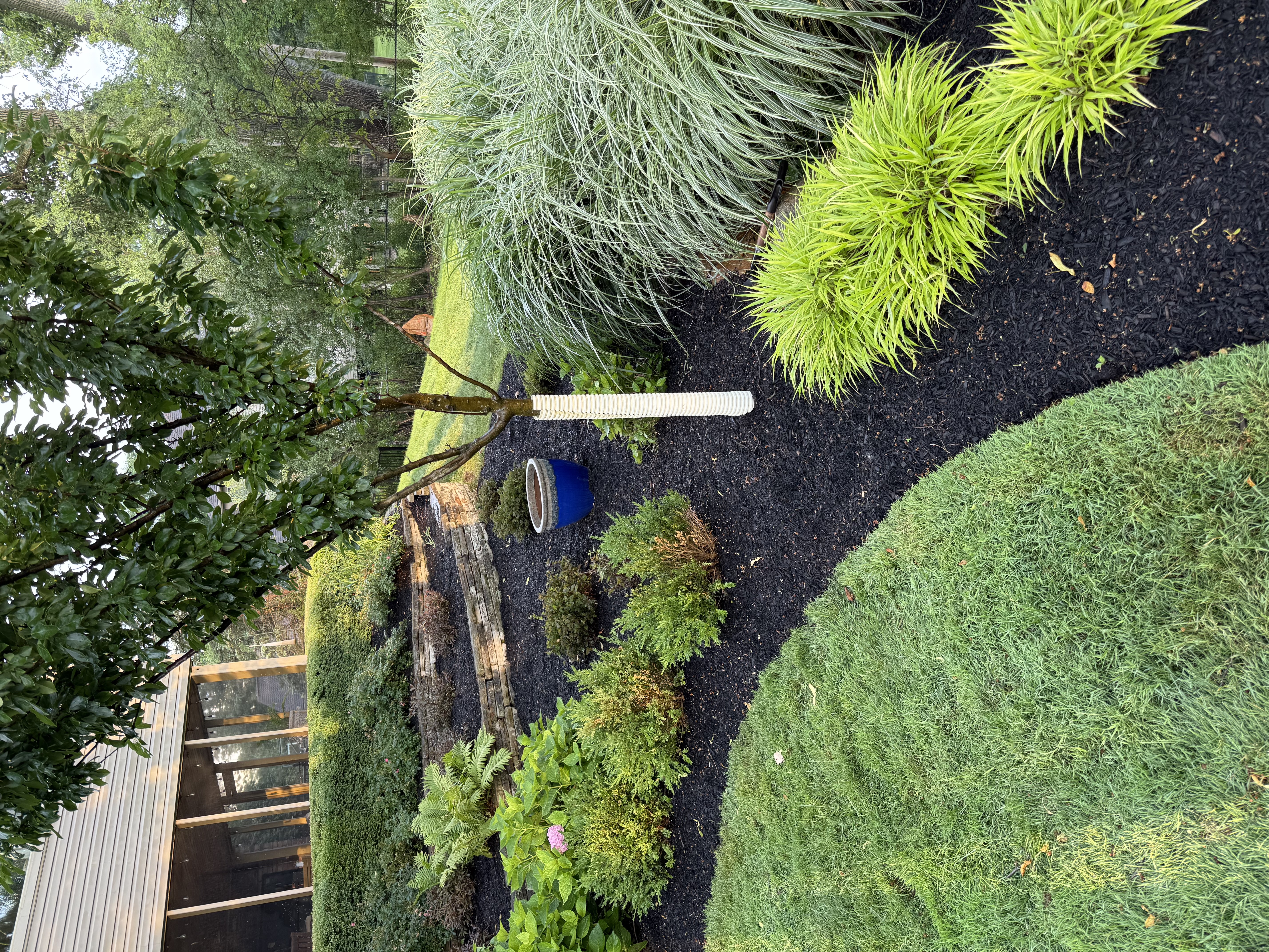 Garden bed overhead view